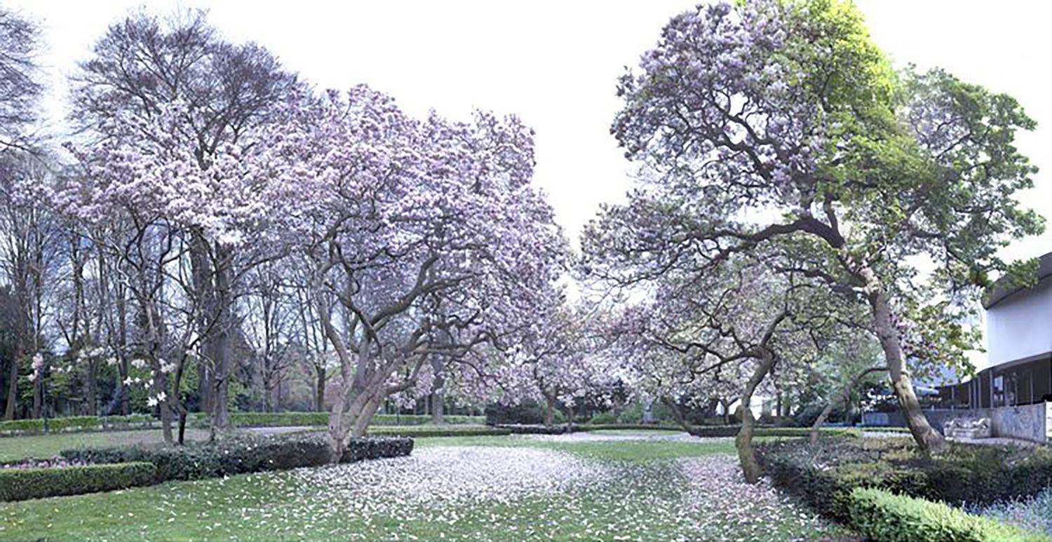Hiroyuki Masuyama Magnolia n. 2 ed. 5 lightbox cm. 70 x 136 x 13 2006